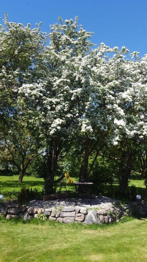 فيلا Strukkamp auf Fehmarnفي Ferienhaus-Rotdorn-Haus-Sued المظهر الخارجي الصورة